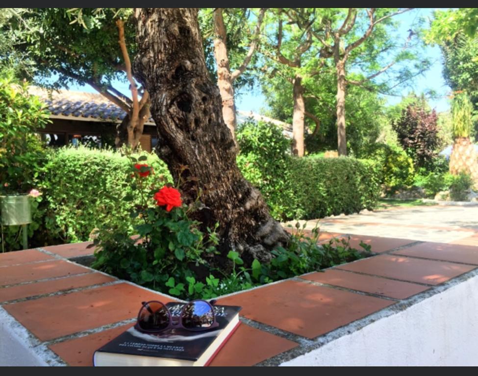 Hotel Alcadima Lanjarón Екстериор снимка