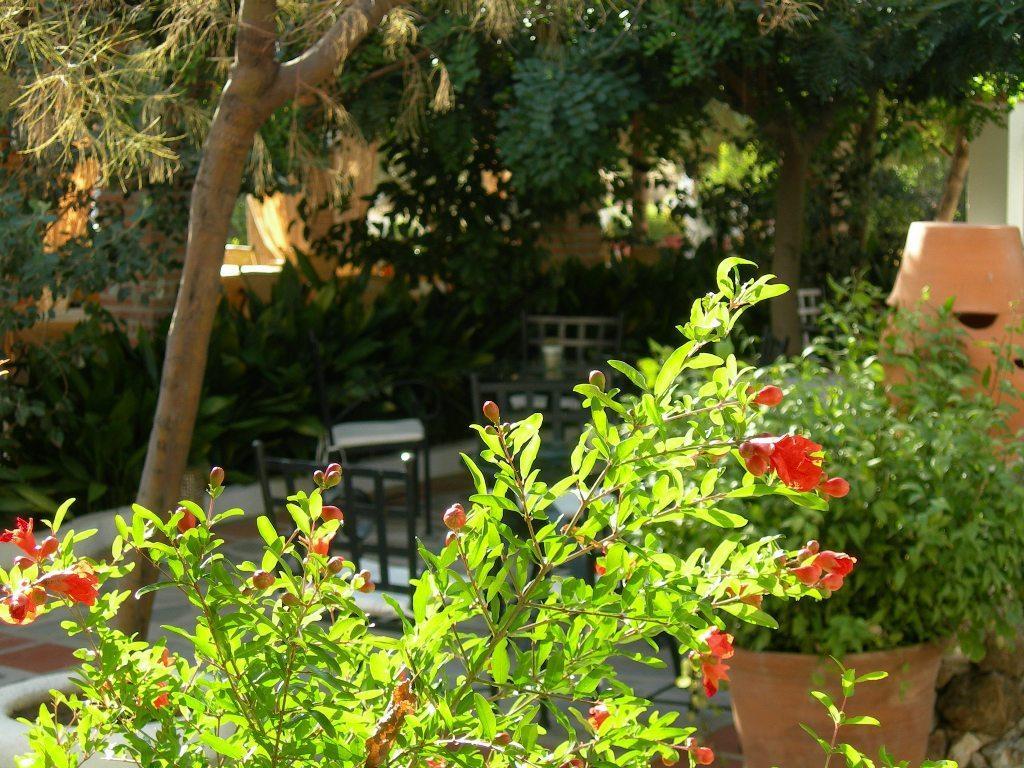 Hotel Alcadima Lanjarón Екстериор снимка